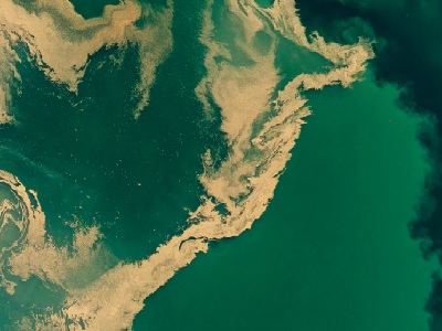 BAS: workshop 'Acque del Veneto - Natura e Biodiversità'