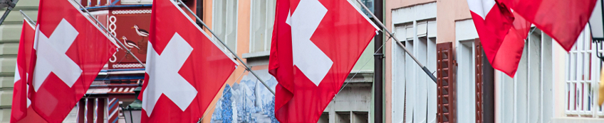 Bandiere della Svizzera