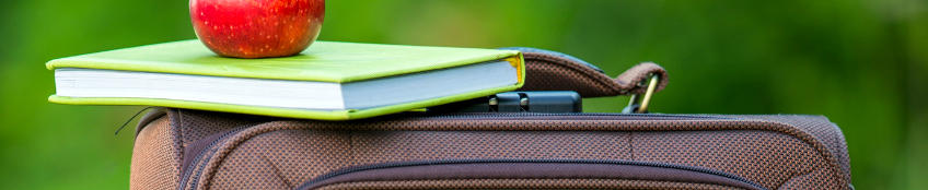 Libro e mela su una valigia