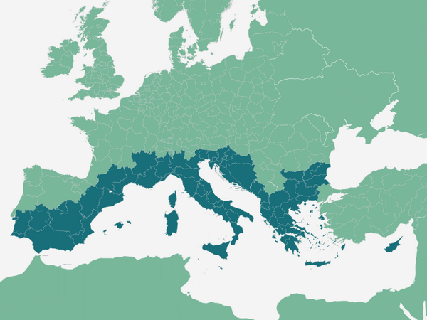 EuroMed Map