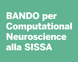 BANDO per Computational Neuroscience alla SISSA