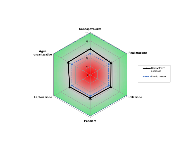 Rappresentazione del livello di competenze trasversali attivate per cluster.