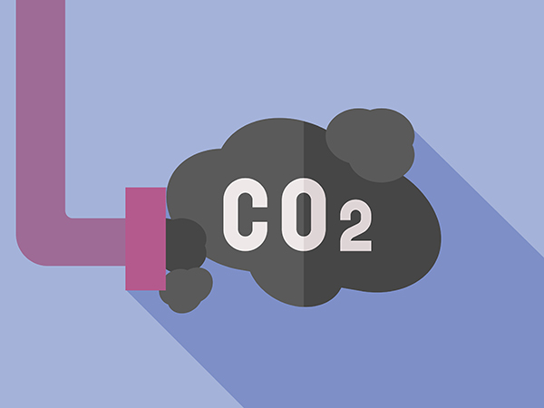 Calcola la CO2 degli spostamenti casa-università 