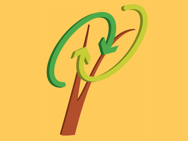 Sustainability Competencies