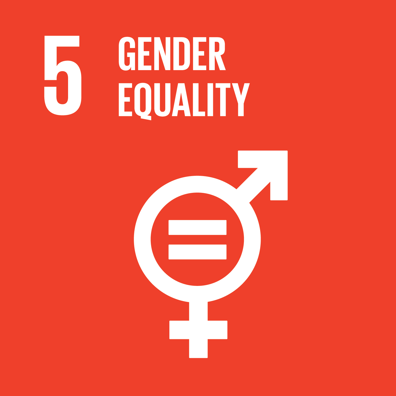 Goal 5 - gender equality