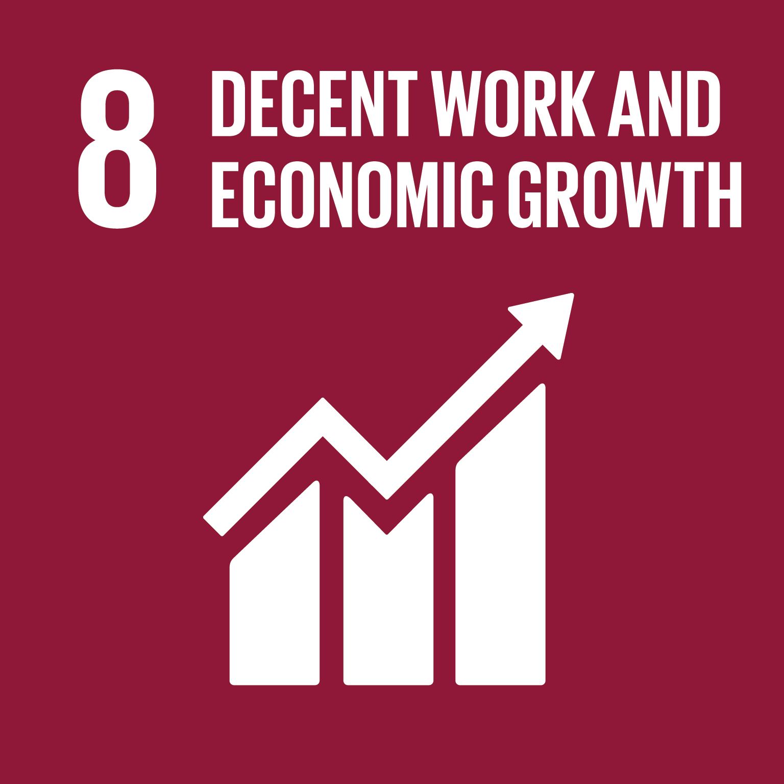 Goal 8 - decent work and economic growth