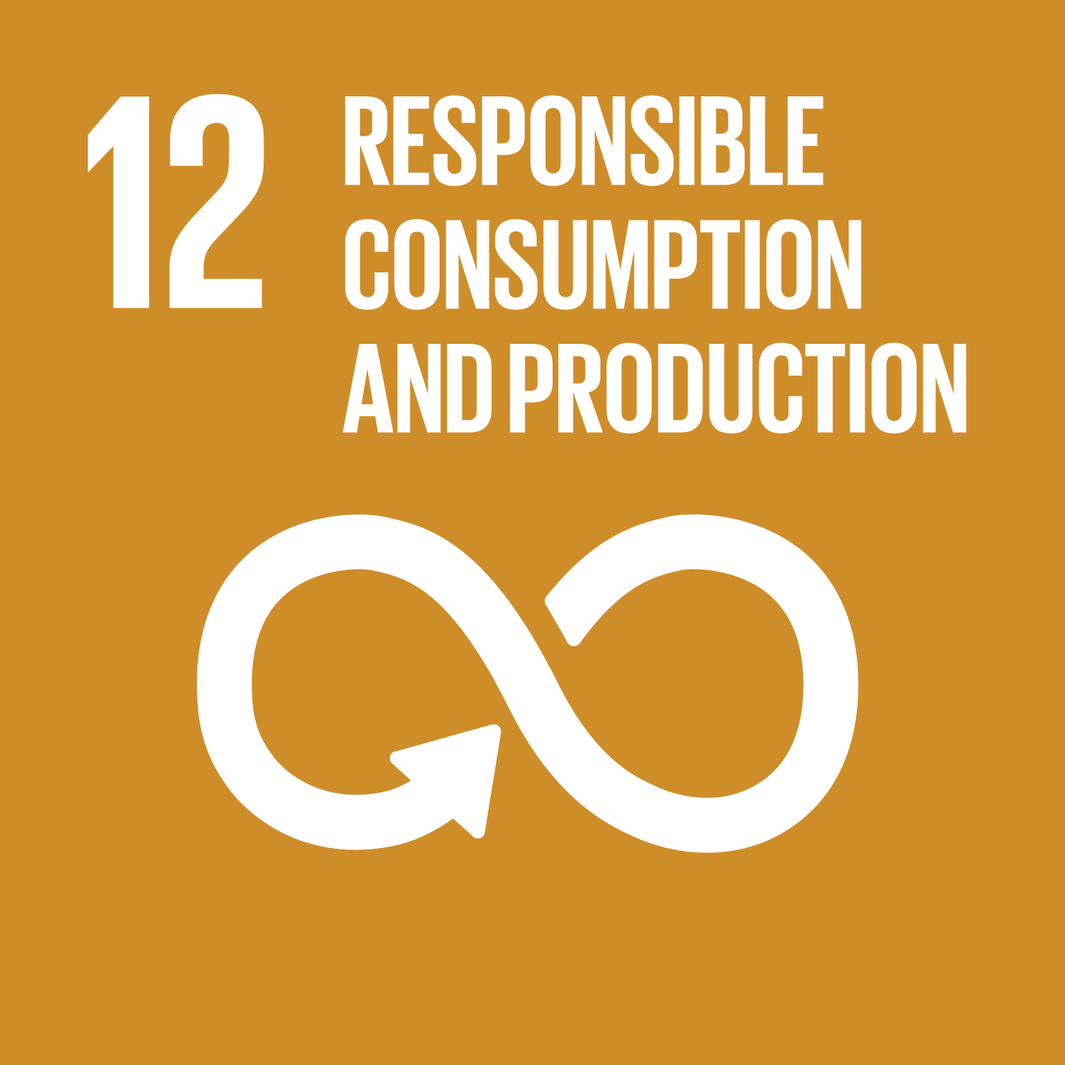 Goal 12 - responsible consumption and production