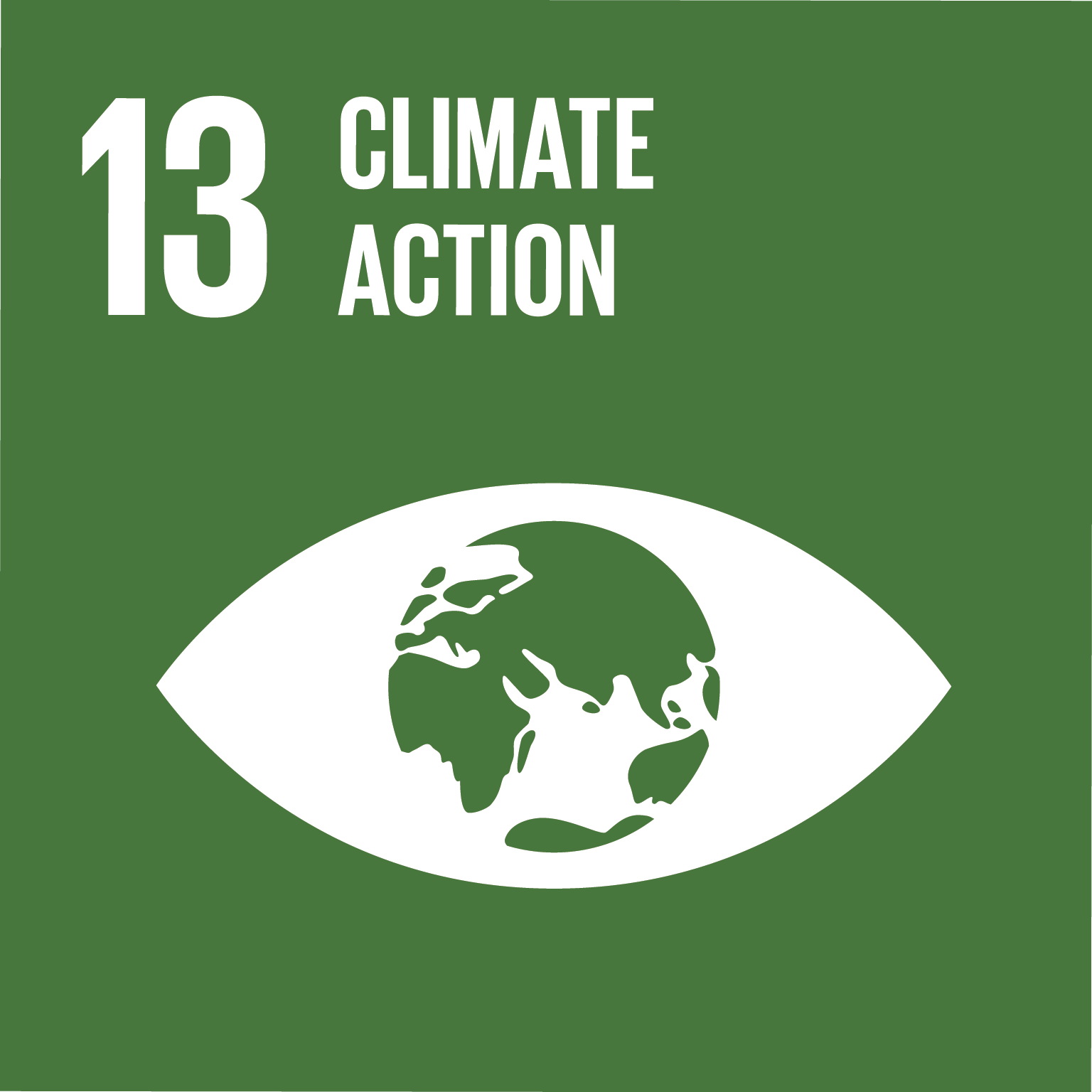 Goal 13 - climate action