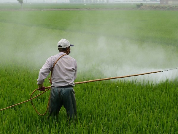 Diffusione di pesticidi e fitofarmaci: ricerca con l'Ospedale di Monastier