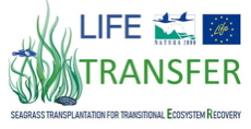 LIFE TRANSFER - Seagrass Transplantation for Transitional Ecosystem Recovery