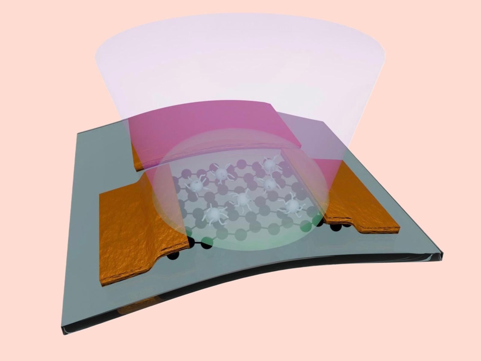 Da Ca’ Foscari un nuovo sensore flessibile e biocompatibile apre la strada all’optoelettronica indossabile del futuro