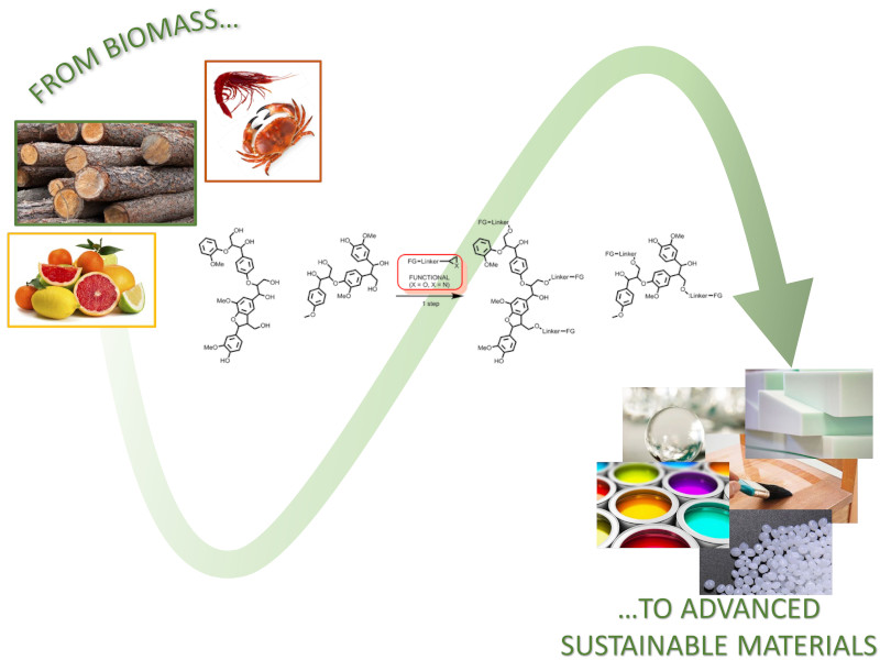 Development of sustainable materials with tailored features from renewable resources