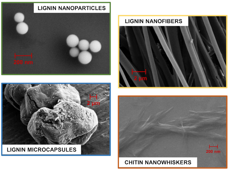Micrographs of biomass-derived micro- and nano-structures: lignin nanoparticles, nanofibers and microcapsules, and chitin nanowhiskers