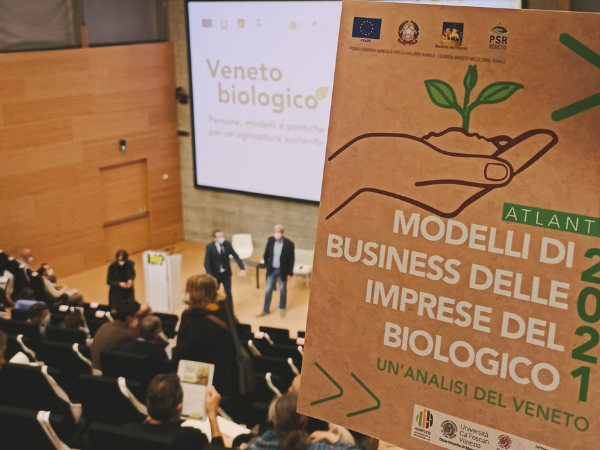 Le aziende del biologico in Veneto: una ricerca dell'Agrifood Lab