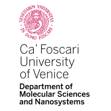 Ca' Foscari University of Venice, Department of Molecular Sciences and Nanosystems