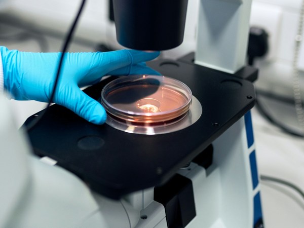 microscopy