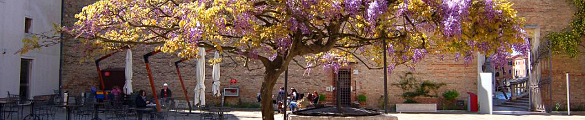 Cortile di Ca' Foscari con glicine