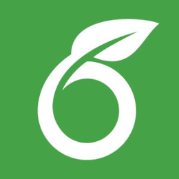 Overleaf