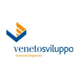 Veneto Sviluppo