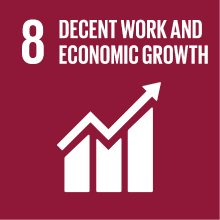 Goal 8: decent work and economic growth