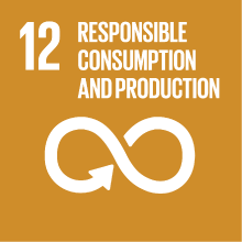 Goal 12: responsible consumption and production