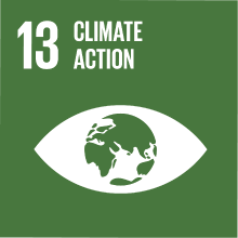 Goal 13: climate action