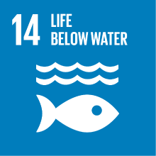 Goal 14: life below water