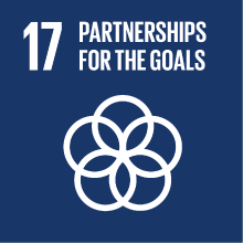 Goal 17: partnerships for the goals