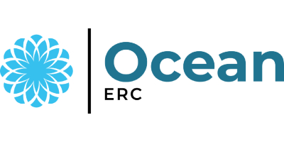 Ocean ERC - On Intelligence and Networks