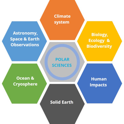 Curricula of the PhD in Polar Sciences: Biology, ecology and biodiversity, Human impacts , Solid Earth, Ocean and cryosphere, Astronomy and space and Earth Observation, Climate