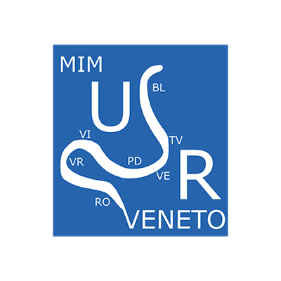 MIM Veneto